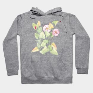 Bindweed composition Hoodie